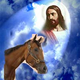 Illustration for article titled Planning For That Sad Time When Barbaro Leaves Us